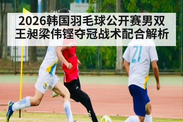 2026韩国羽毛球公开赛男双王昶梁伟铿夺冠战术配合解析